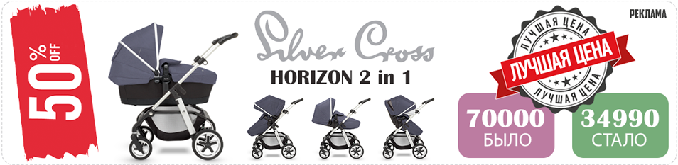  2  1 Silver Cross Horizon Go + 